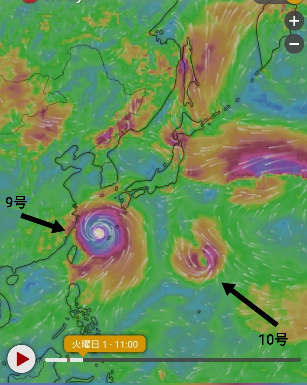 1日午前11時 oshiruko blog