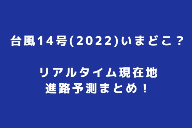 忍者めし cm 歌誰